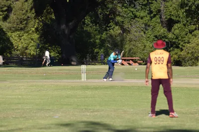 DSC_2343 (Large).JPG